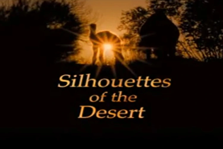 silhouette of the desert.jpg